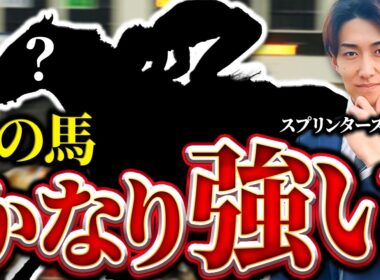 【スプリンターズS】回収率100%超えする攻略法TOP3