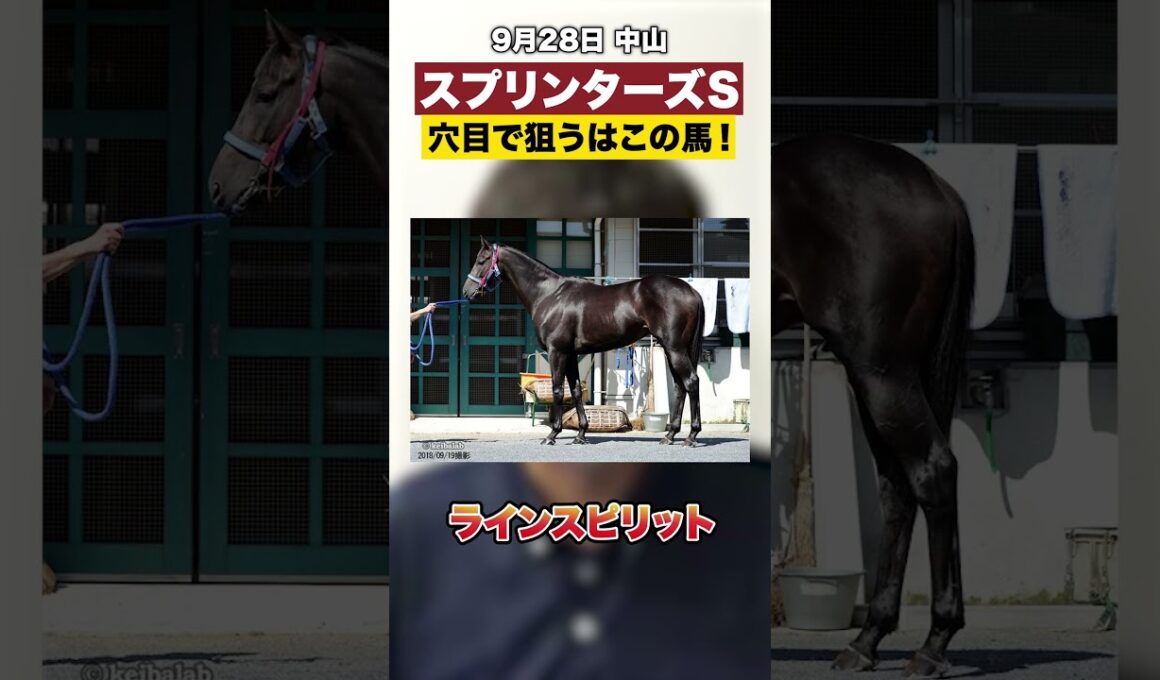 【中山】スプリンターズステークスは穴目にこの馬！