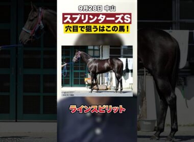 【中山】スプリンターズステークスは穴目にこの馬！