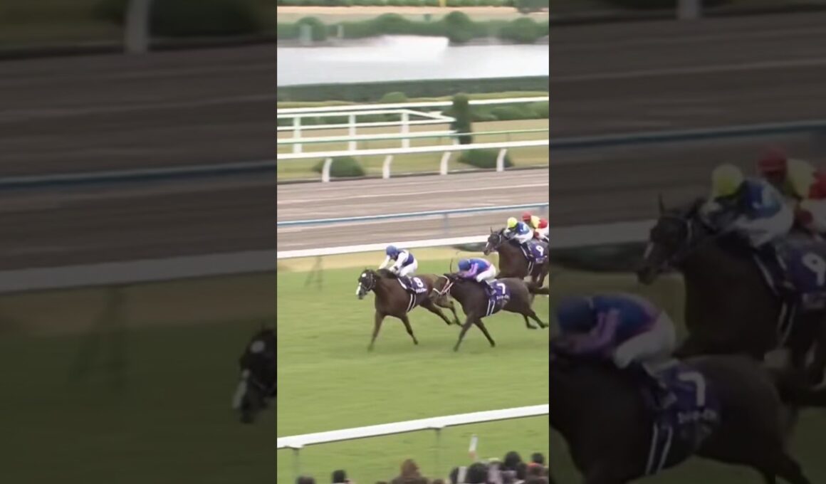 #shorts 2007 マイルCS #ダイワメジャー #安藤勝己