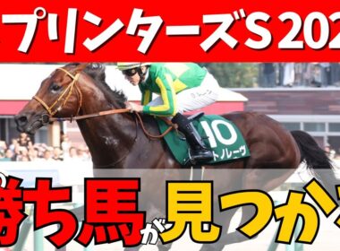 【スプリンターズS 2025】本格的な秋到来🏇🍂秋G1初戦のスプリンターズはこの馬で決まり🎯#競馬