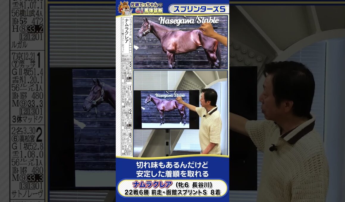 【2025年 スプリンターズS】悲願のG１制覇狙うナムラクレアの馬体診断　 #shorts #競馬 #予想