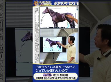 【2025年 スプリンターズS】連覇狙うルガルの馬体診断　 #shorts #競馬 #予想