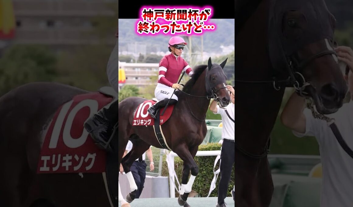 神戸新聞杯が終わったけど…【競馬反応集】 #神戸新聞杯 #菊花賞 #エリキング #ショウヘイ