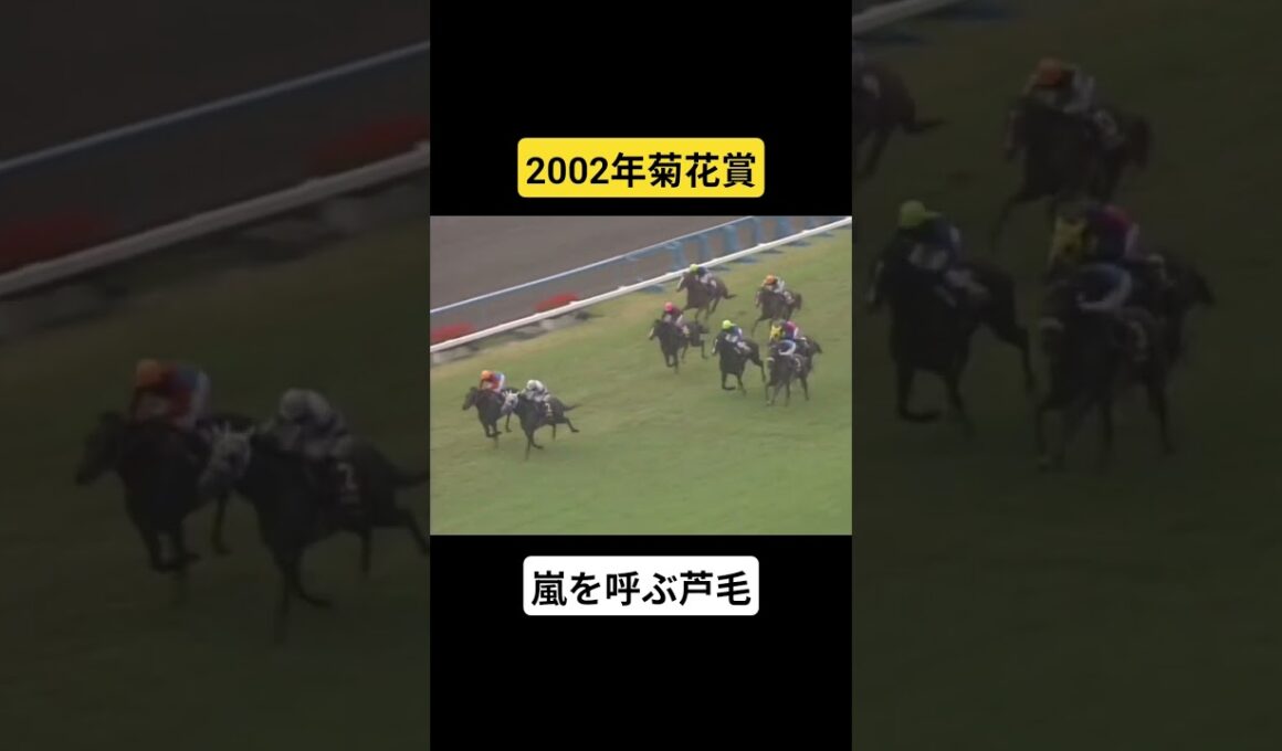 【2002年菊花賞】波乱の幕開けそして菊に咲いた大逆転 #競馬 #ヒシミラクル#ノーリーズン#菊花賞#shorts