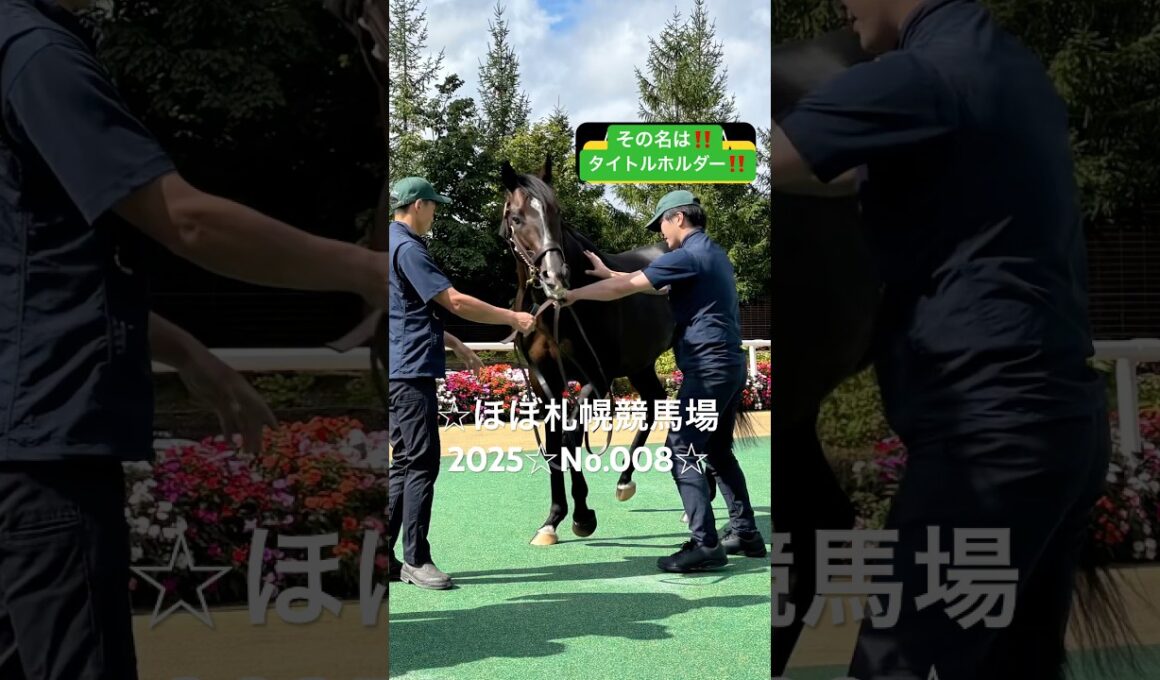 ☆タイトルホルダー☆ほぼ札幌競馬場2025☆No.008☆9月21日☆ #タイトルホルダー #horse #サラブレッド #馬 #競馬場 #札幌競馬場