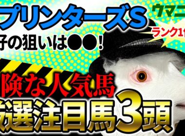 【スプリンターズS2025】絶好の狙いはあの馬！プロ予想MAX1位「霧」プロの危険な人気馬＆厳選注目馬とは？