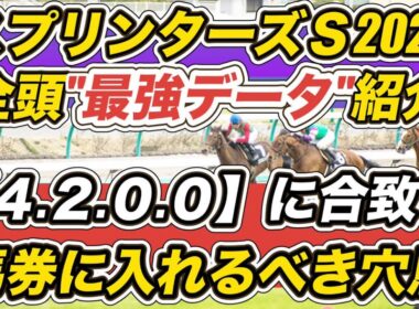 【スプリンターズステークス2025】サトノレーヴら16頭"最強データ"紹介！「4.2.0.0」合致で馬券に入れるべき穴馬は？