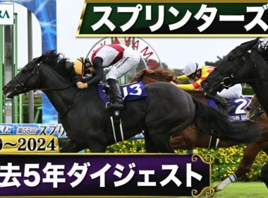 【過去5年】スプリンターズステークス 2020～2024｜JRA公式