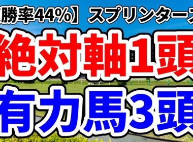 【スプリンターズステークス2025予想】複勝率44％で継続騎乗×前走好走馬から導く絶対軸馬＋有力馬3頭！実績・脚質・展開の三拍子揃った1強→香港招待馬の評価も紹介【アドレナリン競馬予想YOUTUBE】
