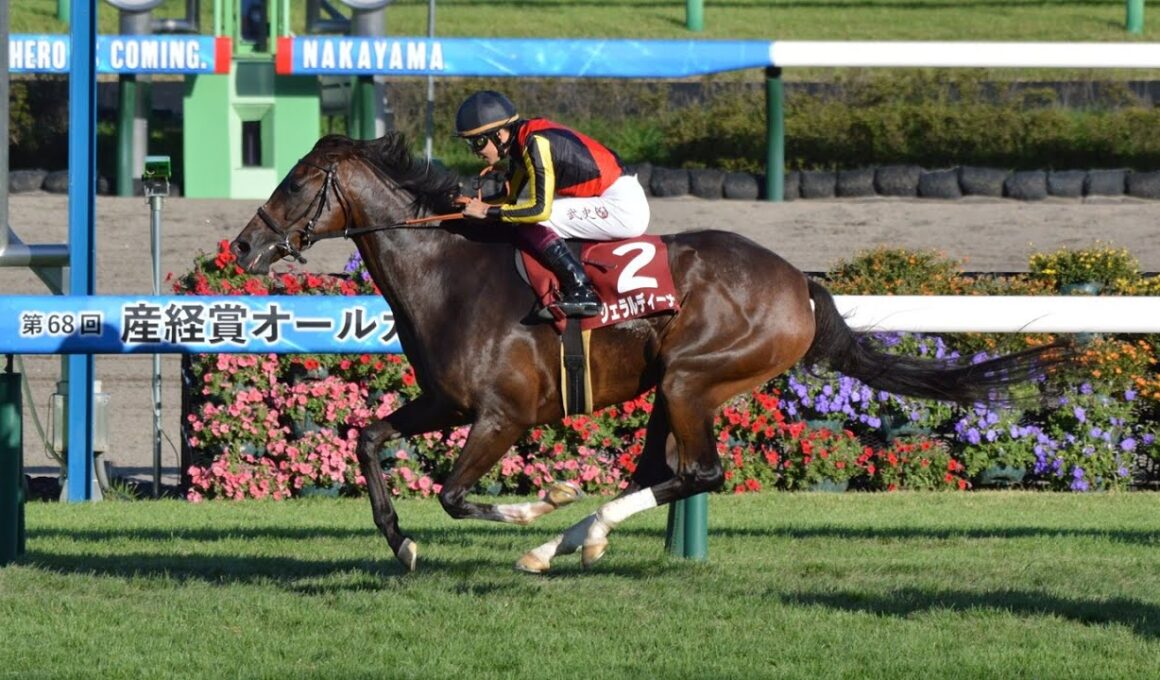 【競馬】GII産経賞・神戸新聞杯やります