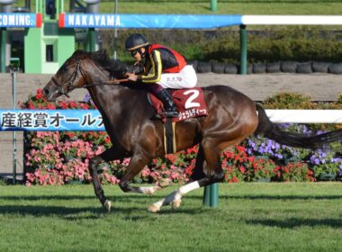 【競馬】GII産経賞・神戸新聞杯やります