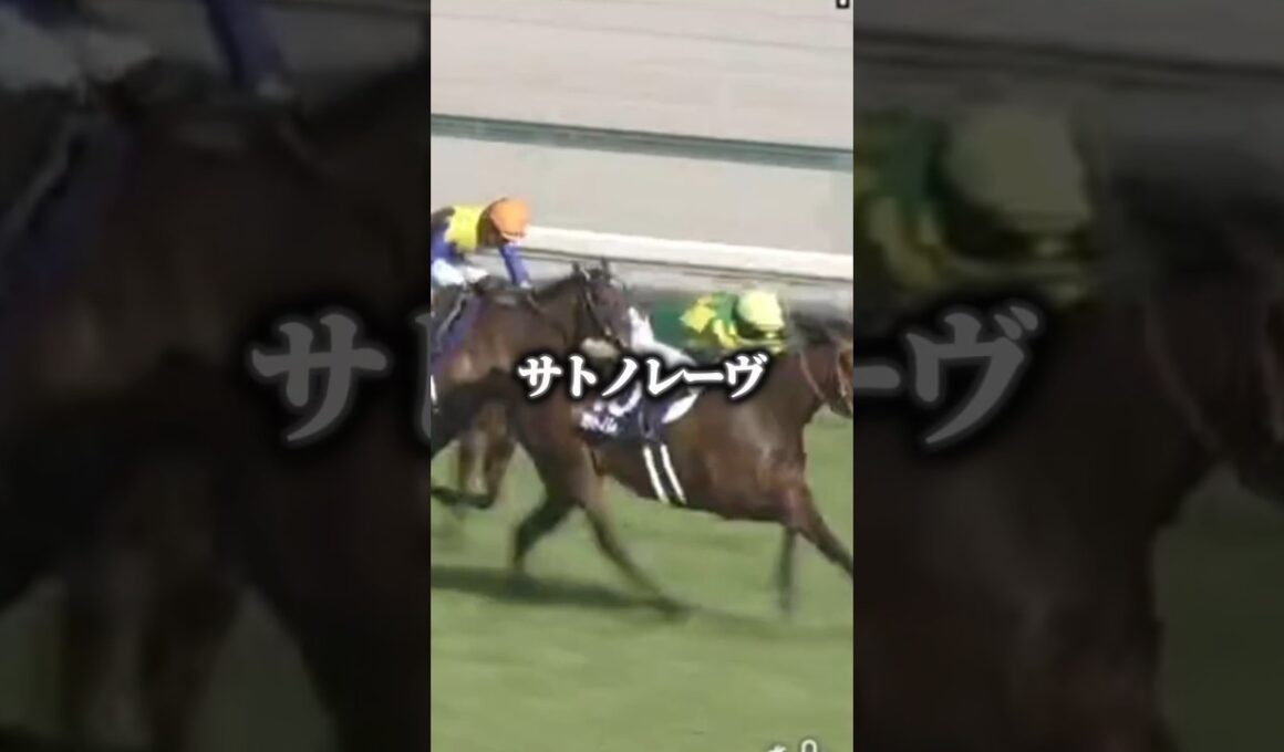 【スプリンターズステークス】日本で1番速い馬はどの馬か？最強スプリンター決定戦！#スプリンターズステークス#サトノレーヴ#ナムラクレア#ママコチャ#トウシンマカオ
