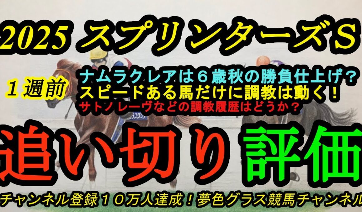 【1週前追い切り評価】2025スプリンターズステークス！ナムラクレアは6歳秋を迎えても仕上がりはいい？サトノレーヴなどの調教履歴はどうか？