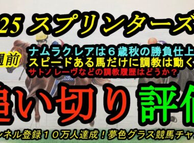 【1週前追い切り評価】2025スプリンターズステークス！ナムラクレアは6歳秋を迎えても仕上がりはいい？サトノレーヴなどの調教履歴はどうか？