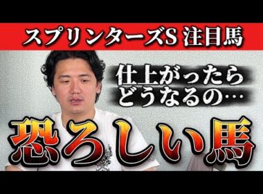 いよいよ秋のG1が始まります【スプリンターズステークス】