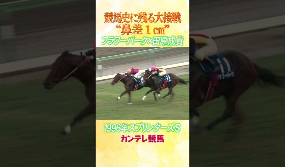 #競馬 #スプリンターズステークス #フラワーパーク #田原成貴