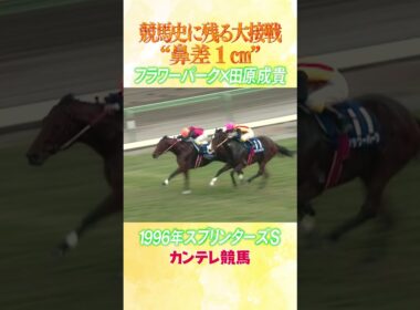 #競馬 #スプリンターズステークス #フラワーパーク #田原成貴