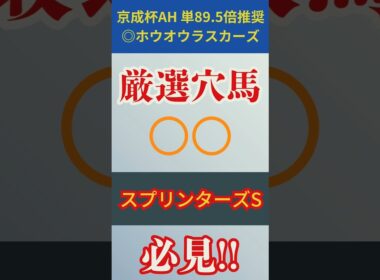 【スプリンターズステークス2025】必見！想定14人気大穴〇〇を無理のない理由で推奨！【厳選穴馬】枠次第でスプリンターズS本命も視野！【厳選注目馬】#競馬 #競馬予想 #スプリンターズステークス
