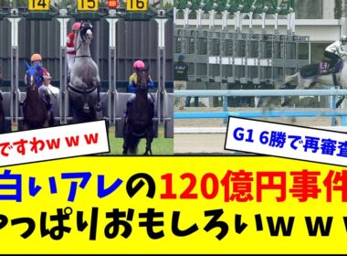 【当時の反応】ゴールドシップの宝塚記念、やっぱりおもしろいw w w