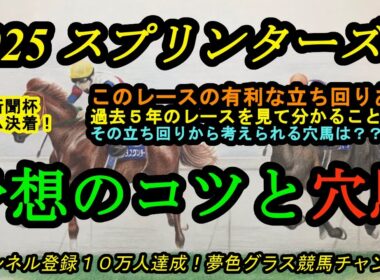 【予想のコツと穴馬探し】2025スプリンターズステークス！過去5年を見ると明らかに有利な立ち回りがある？そこから導き出される穴馬候補は？