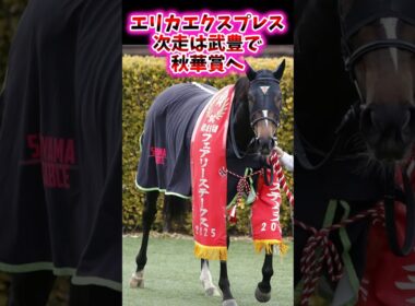 エリカエクスプレス次走は武豊で秋華賞へ【競馬反応集】 #競馬　#エリカエクスプレス　#武豊