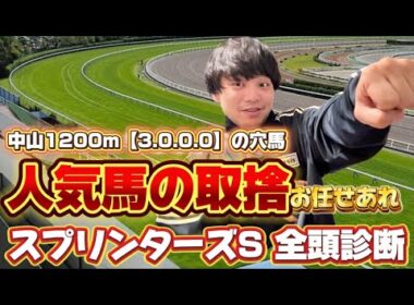 【スプリンターズS 2025】高松宮記念とは別物！ココだから狙える馬を教えます【競馬予想】【全頭診断】