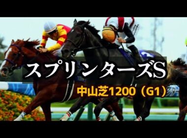 【競馬データ】2025 スプリンターズステークス「サトノレーヴがまだまだやれる誰も言わない秘密の理由と、思わず身が震えた"血の記憶"の新ネタとは」