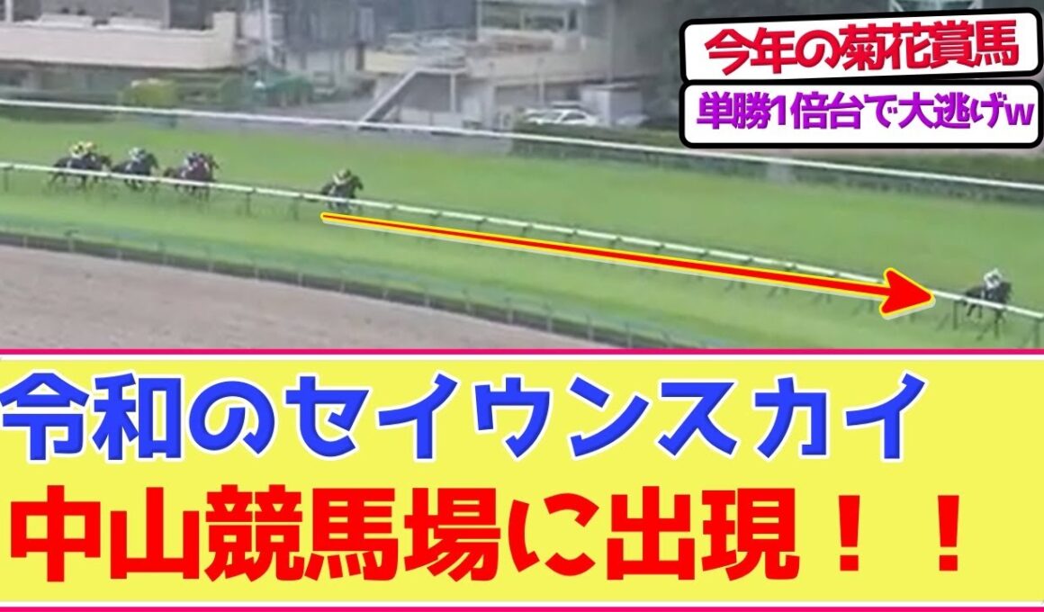 令和のセイウンスカイ、中山競馬場で見つかるwww 菊花賞が楽しみ！！【競馬ファンの反応】
