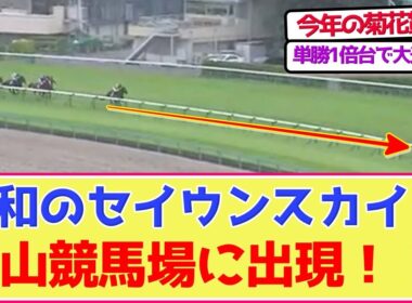 令和のセイウンスカイ、中山競馬場で見つかるwww 菊花賞が楽しみ！！【競馬ファンの反応】