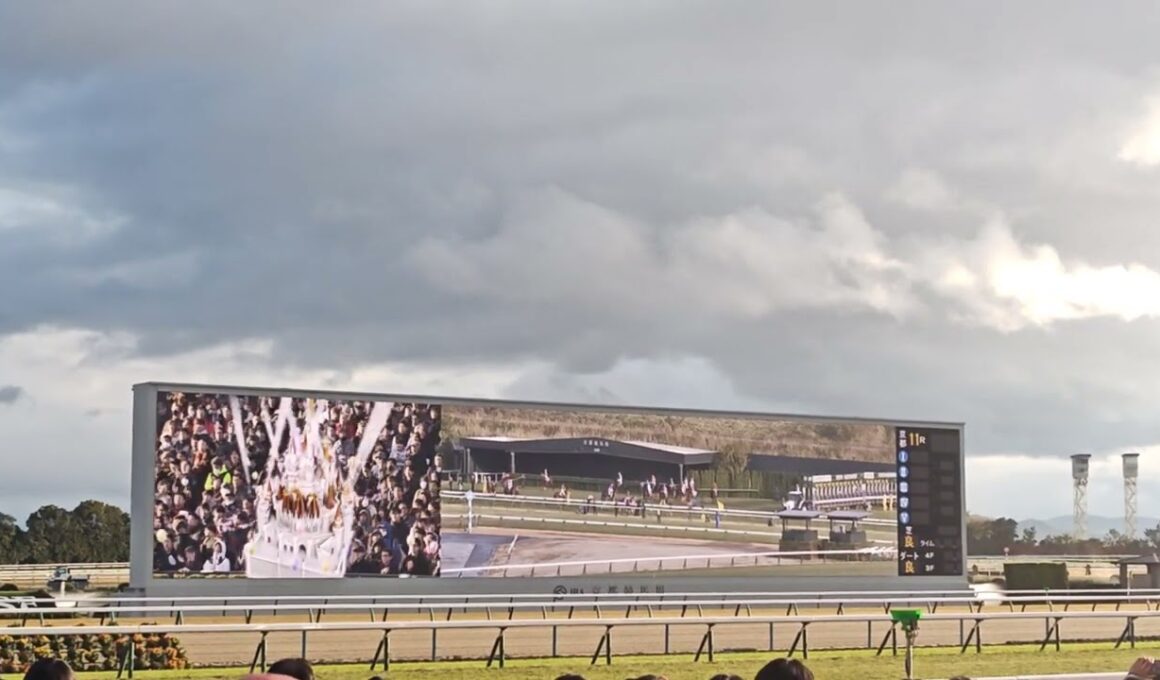 【2024阪神ジュベナイルフィリーズ】ファンファーレ