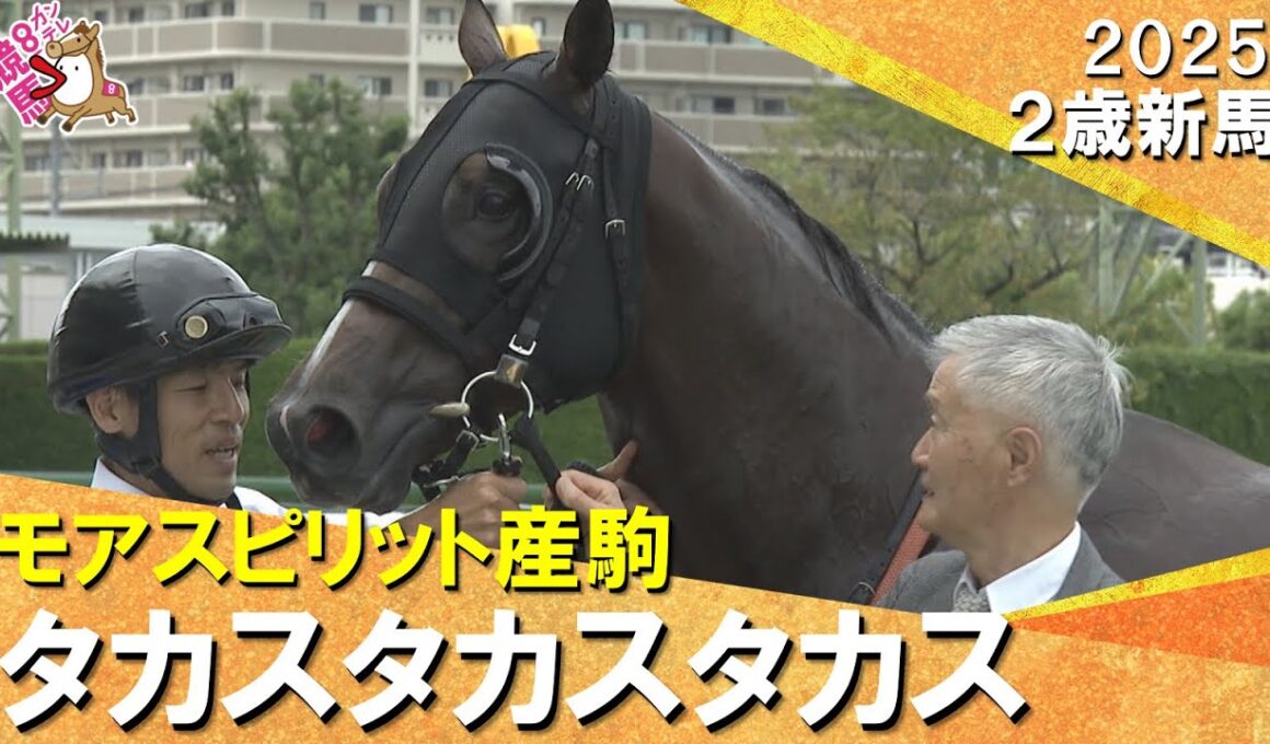 タカスタカスタカスが鮮やか逃げ切りデビュー勝ち！藤原調教師「すべてがパーフェクト」　2025年 9月20日(土)２歳新馬　阪神ダート1200m　実況：服部優陽【カンテレ公式】
