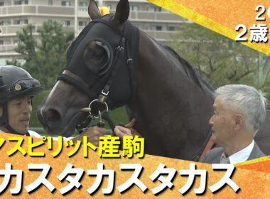 タカスタカスタカスが鮮やか逃げ切りデビュー勝ち！藤原調教師「すべてがパーフェクト」　2025年 9月20日(土)２歳新馬　阪神ダート1200m　実況：服部優陽【カンテレ公式】
