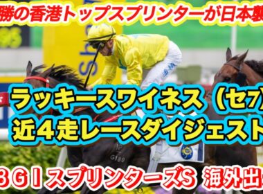 【ラッキースワイネス】スプリンターズS海外出走馬！GI4勝馬香港トップスプリンターの近4走レースダイジェスト