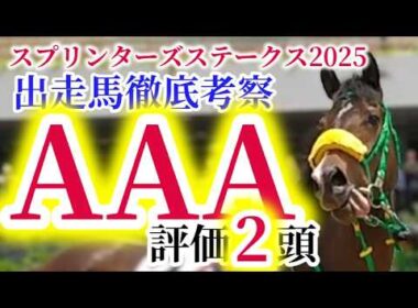 【スプリンターズS 2025】ハイペース+究極の消耗戦で際立つ『最強の心臓』の持ち主を狙え！！注目の出走馬を徹底分析！