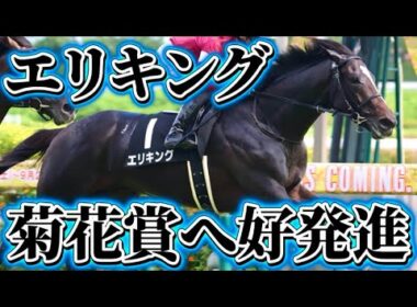 エリキングについて【神戸新聞杯回顧】【菊花賞】#エリキング #神戸新聞杯 #菊花賞 #川田将雅