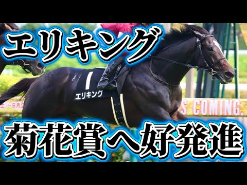 エリキングについて【神戸新聞杯回顧】【菊花賞】#エリキング #神戸新聞杯 #菊花賞 #川田将雅