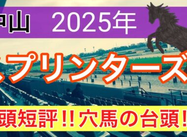 【スプリンターズステークス2025】蓮の競馬予想(全頭短評)〜先週のオールカマーは完璧的中