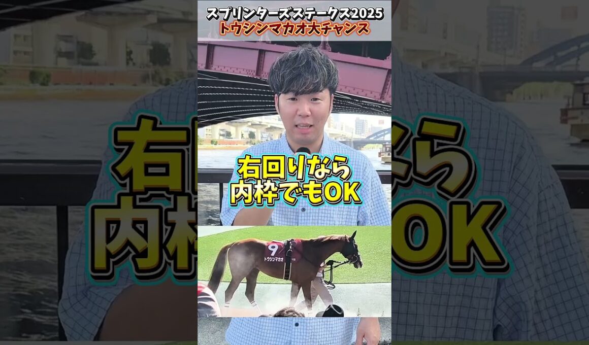 【スプリンターズステークス】トウシンマカオG1勝利なるか？#スプリンターズステークス#トウシンマカオ#競馬#競馬予想