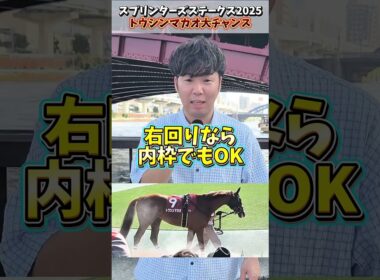 【スプリンターズステークス】トウシンマカオG1勝利なるか？#スプリンターズステークス#トウシンマカオ#競馬#競馬予想