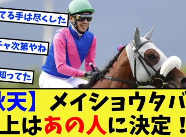【競馬】メイショウタバル、天皇賞秋の鞍上はやっぱりあの人の模様に対する反応集【競馬の反応集】