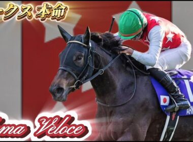 2025年 優駿牝馬(オークス) ◎アルマヴェローチェ 2人気 2着！