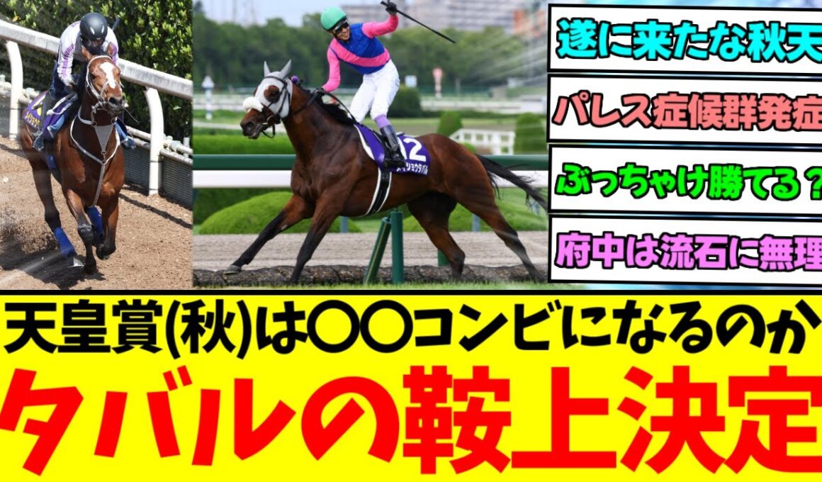 『メイショウタバル 天皇賞秋での鞍上が決定！』に対するみんなの反応集【競馬/ウマ娘】