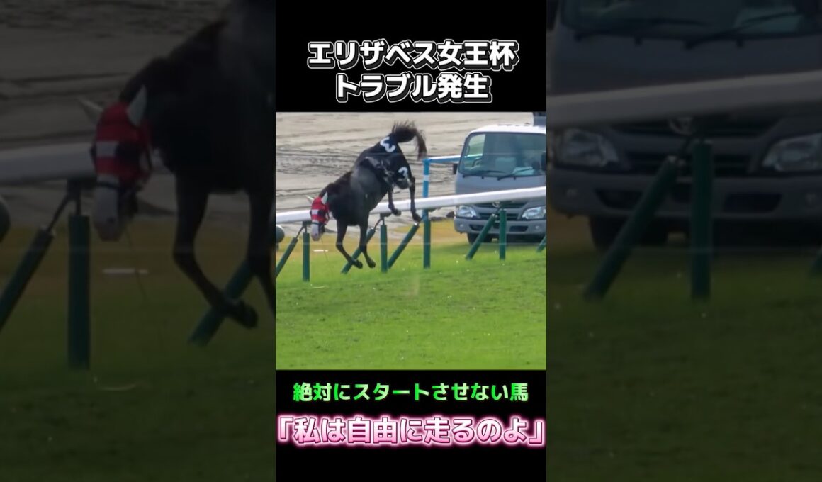 【問題児】エリザベス女王杯で起きた脱走事件！#エリザベス女王杯 #競馬 #ショウナンバンドル