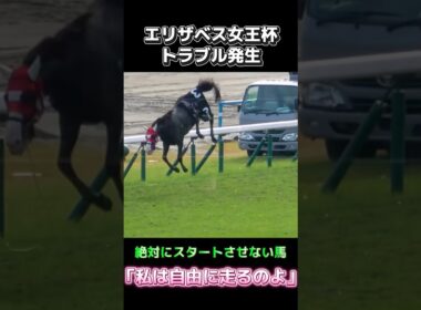 【問題児】エリザベス女王杯で起きた脱走事件！#エリザベス女王杯 #競馬 #ショウナンバンドル