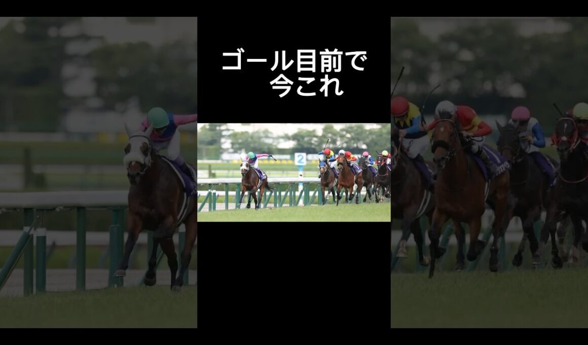 宝塚記念2025ゴールイン目前で　#競馬 #宝塚記念 #武豊 #おもしろ動画  #ライラック #ナルトダンス  #shorts