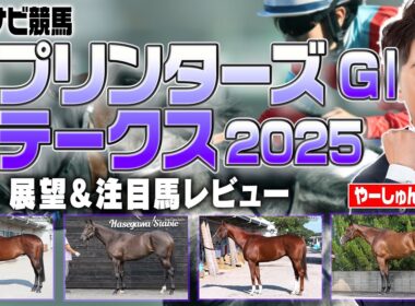 【スプリンターズS 2025】1枠の人気薄馬に妙味アリその理由は？高速決着想定での注目馬を紹介！サトノレーヴ ナムラクレア ママコチャ トウシンマカオ ルガル など【レース展望／スポナビ競馬】