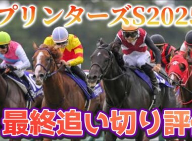 スプリンターズステークス2025 最終追い切り評価