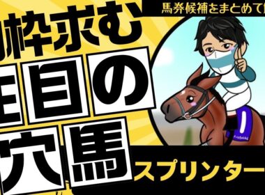 【スプリンターズステークス2025】結局枠なんよ…それでも語る！”絶対買う”から”注目穴馬”まで馬券候補をまとめて解説