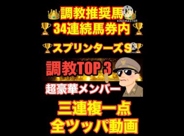 【スプリンターズS】ついにG1戦線が来た...調教抜群の馬多数！！#スプリンターズs #スプリンターズステークス #シリウスステークス #競馬 #競馬予想
